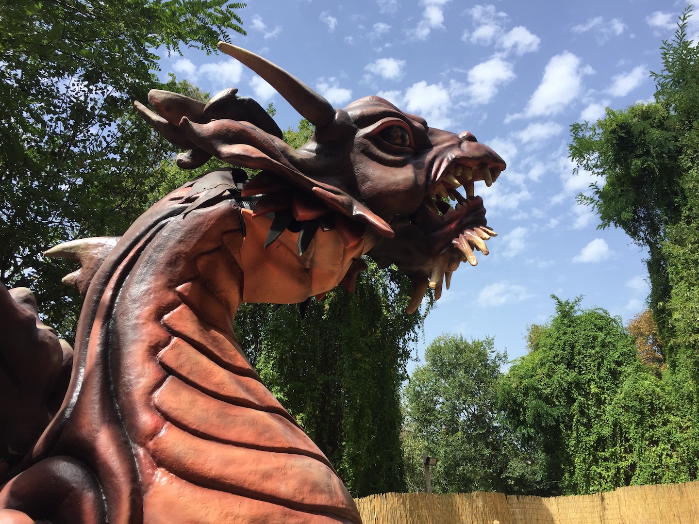 DRAGO ISOTTA – Mondaino Palio del Daino 2019