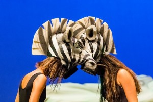IMG_4029         